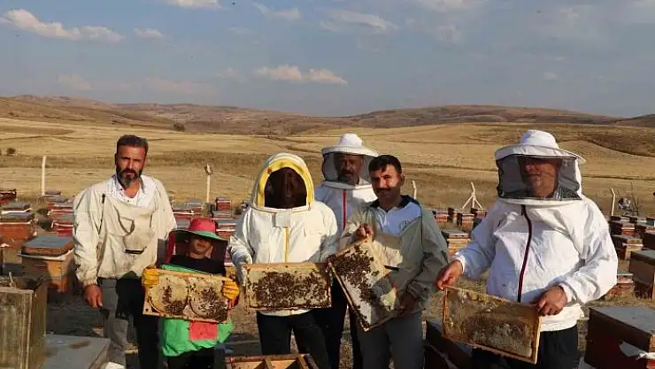 'Sivas çiçek balı üretiminde ilk sırada'
