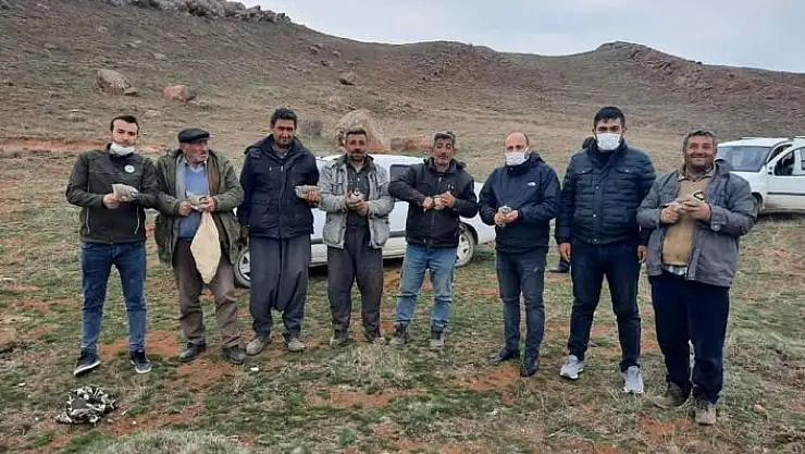 'Sivas´ta 248 keklik markalandı'