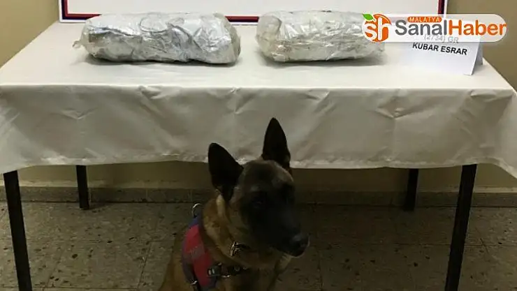 Sivas'ta 3 kilo 155 gram esrar ele geçirildi