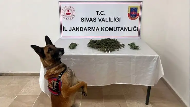 'Sivas´ta 3 kilo esrar ele geçirildi'