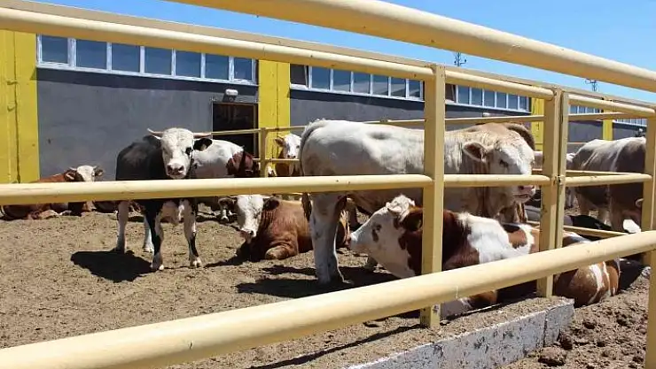 'Sivas´ta 354 projeye TKDK desteği'