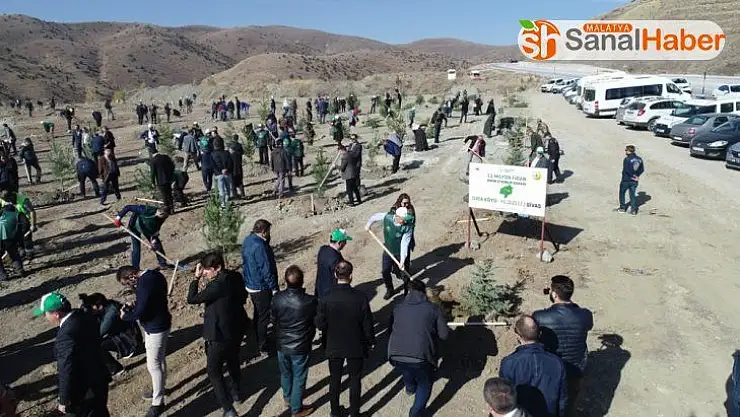 Sivas'ta 49 noktada 511 bin 279 fidan dikildi