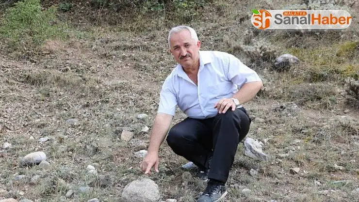 Sivas'ta 55 milyon yıllık deniz canlısı fosili bulundu