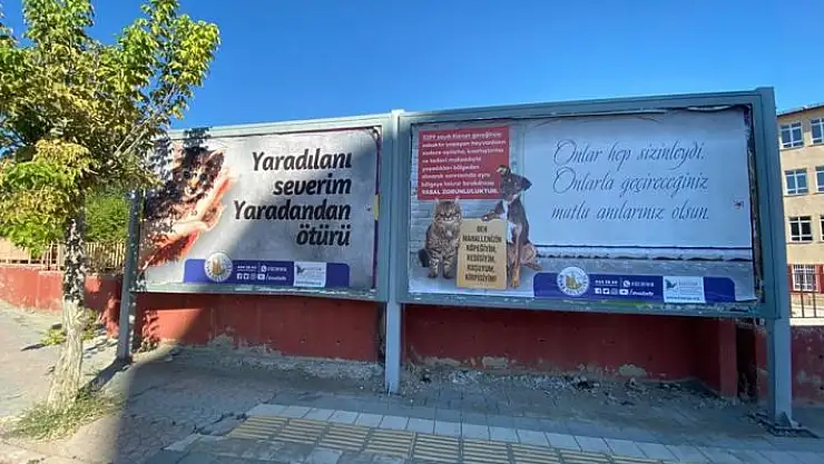 'Sivas´ta hayvan hakları için çalışma'