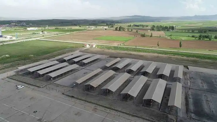 'Sivas´ta hayvan pazarı kapatıldı'