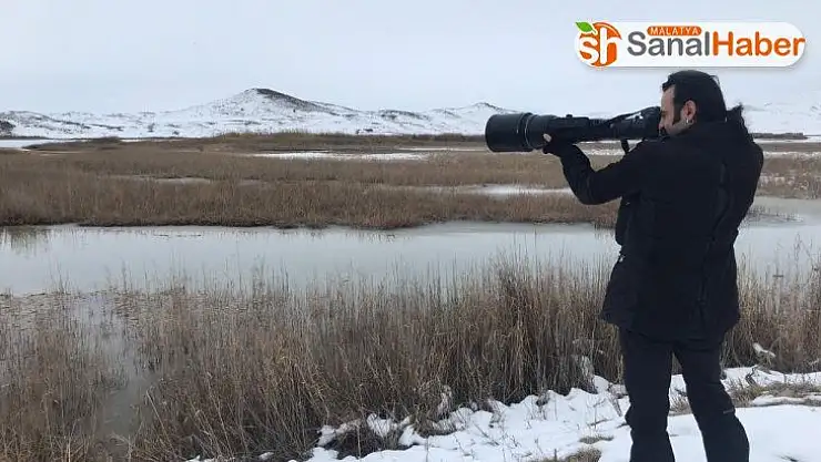 Sivas'ta kış ortası kuş sayımı yapıldı