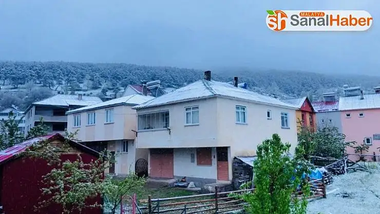 Sivas'ta Mayıs karı