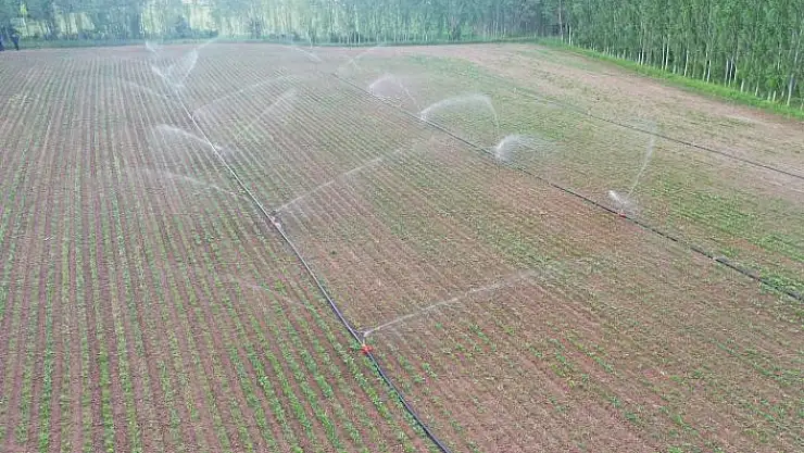 'Sivas´ta sulu tarım ile ülke ekonomisine milyarlık katkı sağlanacak'