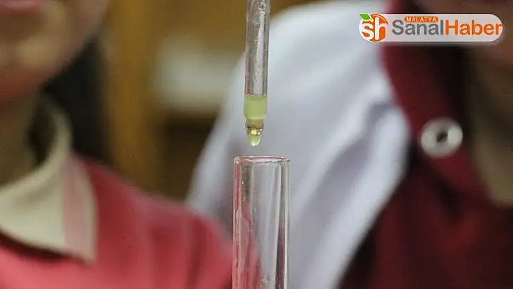 Sivaslı öğrenciler salatalıktan koku üretti