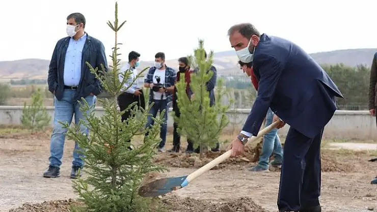 'Sivasspor 1967 fidan dikti'