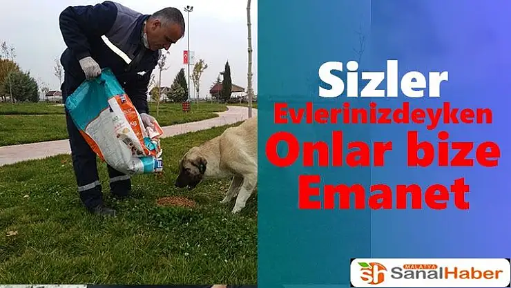 Sizler evlerinizdeyken onlar bize emanet