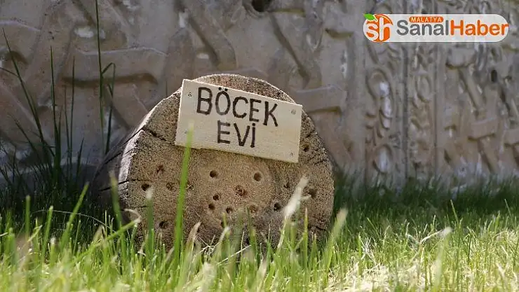 Sokağa çıkamayan öğrenciler, böcekler için ev yaptı