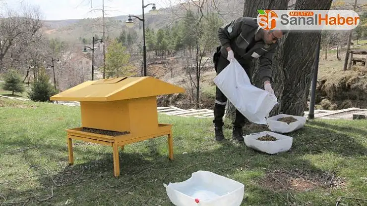 Sokak hayvanları için mesire alanlarına yem ve su bırakıldı