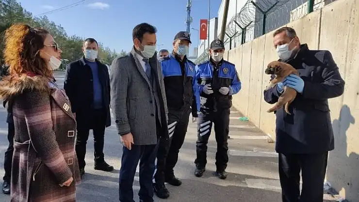 'Sokak hayvanlarına mama'