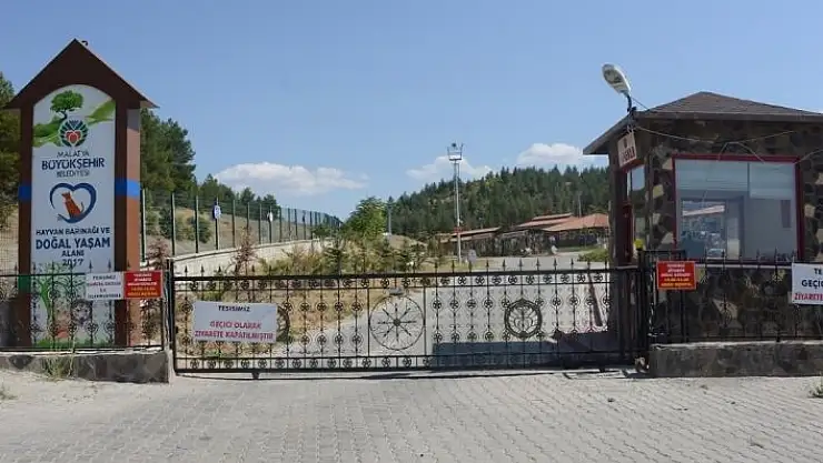 'Sokak hayvanlarına şefkat eli'