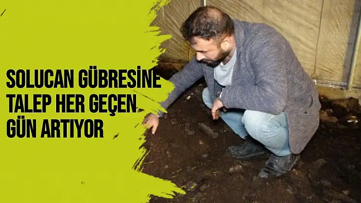 Solucan gübresine talep her geçen gün artıyor
