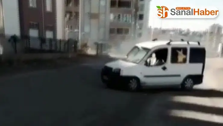 Sosyal medya ele verdi, 5 bin 10 TL ceza yedi