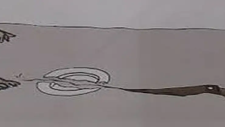 TRAVMA SONRASI STRES BOZUKLUĞU (TSSB)