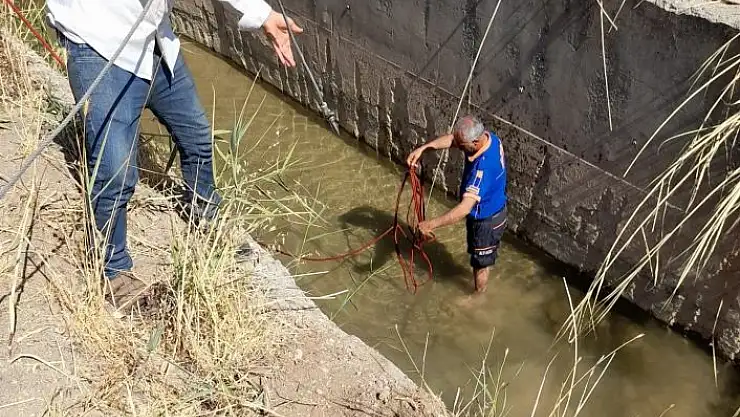 'Sulama kanalına düşen eşek kurtarıldı'