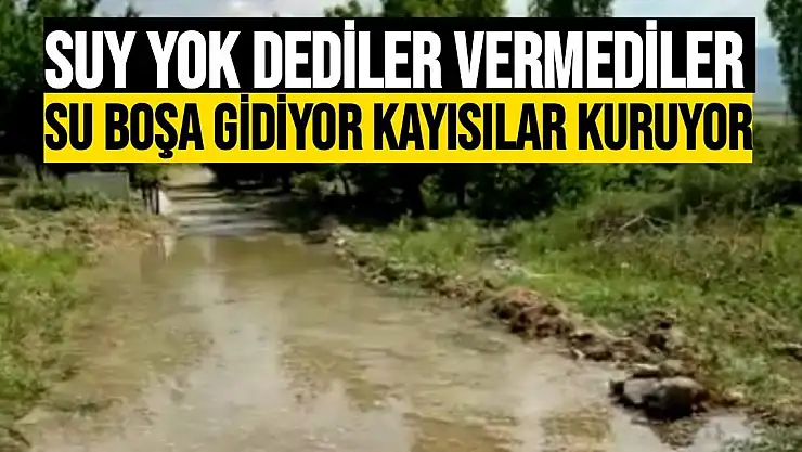 Suy yok dediler vermediler Su boşa gidiyor kayısılar kuruyor