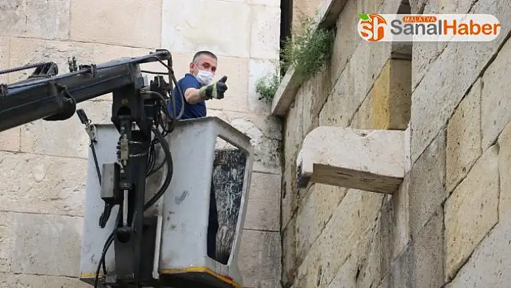 Tarih otlarından arındırıldı