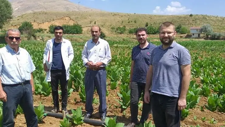 'Tarımda viral hastalıklarla mücadele araştırması yapıldı'
