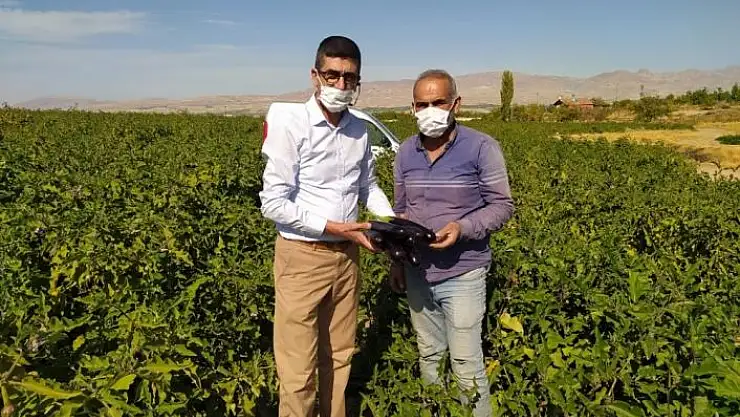 'Tarladan sofralara doğal ve ucuz sebze'