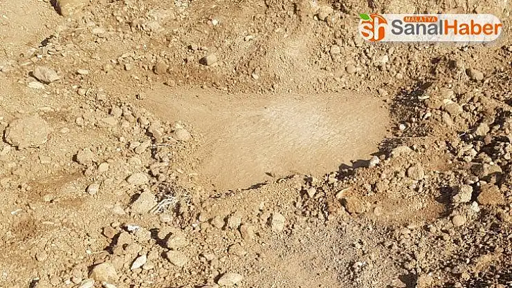 Tarlayı sürerken mozaik buldu