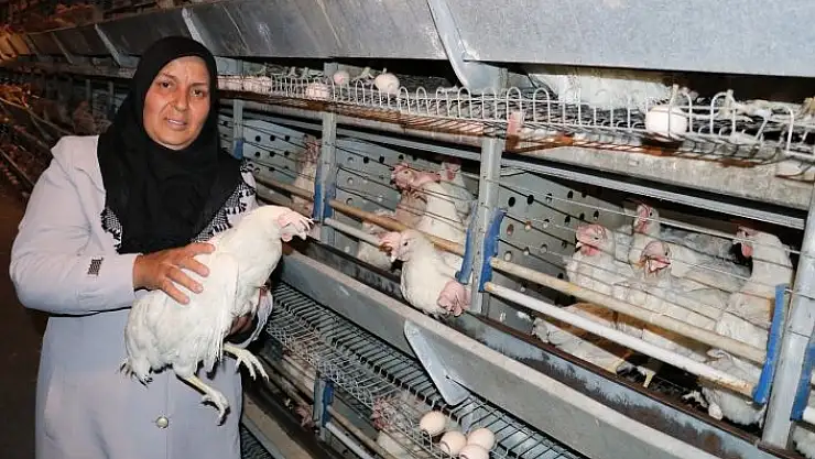 'Tavukları telef olan girişimci kadın yeni tavuklarına kavuştu'