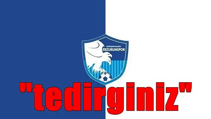 Tedirginiz