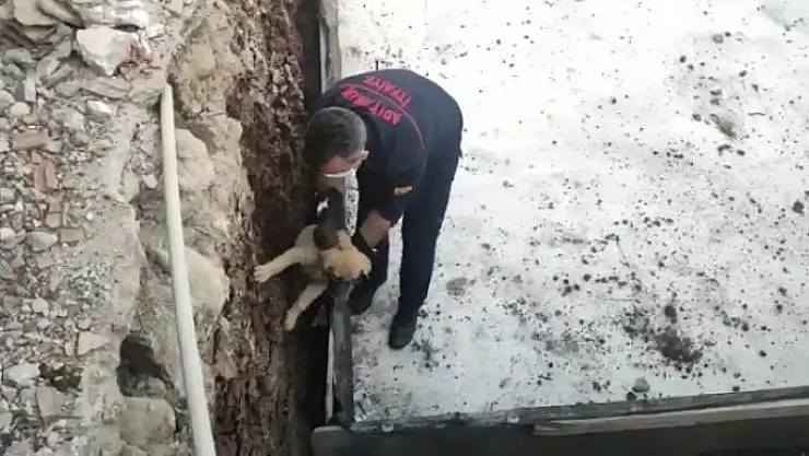 'Temele sıkışan köpek kurtarıldı'