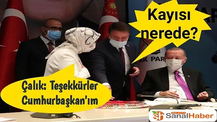 Teşekkürler de kayısı nerede?