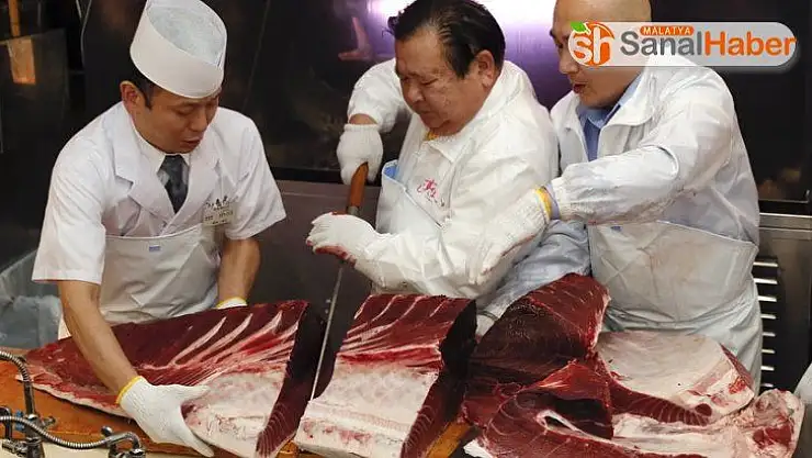 Tokyo'da orkinos balığı 11 milyon liraya satıldı