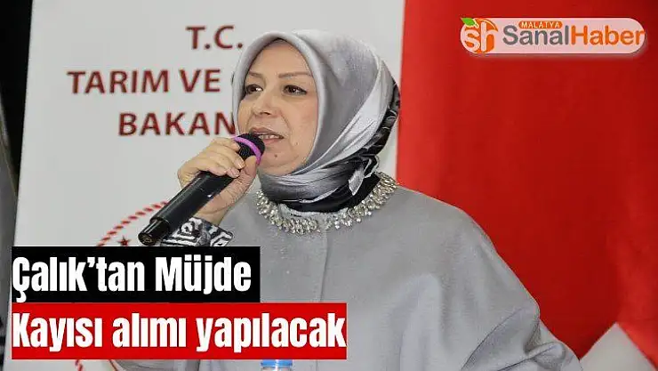 Çalık´tan Müjde  Kayısı alımı yapılacak