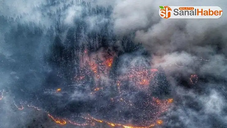 Trump'tan Putin'e Sibirya telefonu