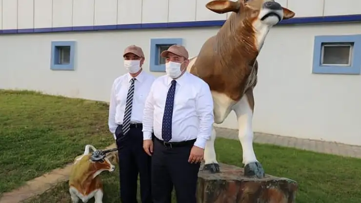 'Türkiye´nin 3 aşı projesi insan denemeleri aşamasında'