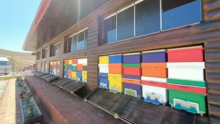 'Türkiyenin ilk Arı Evi ülke genelinde uygulamaya konuyor'