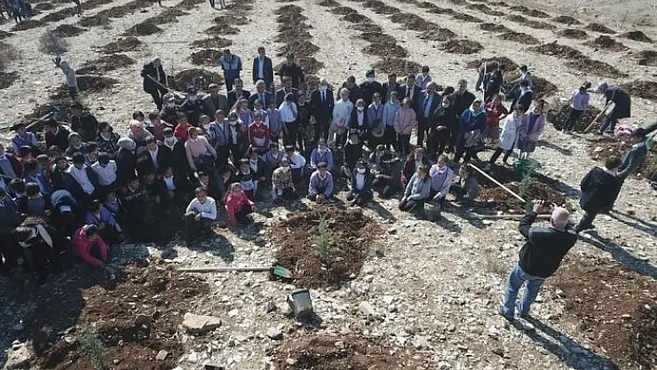 'Tut ilçesinde fidanlar toprakla buluştu'