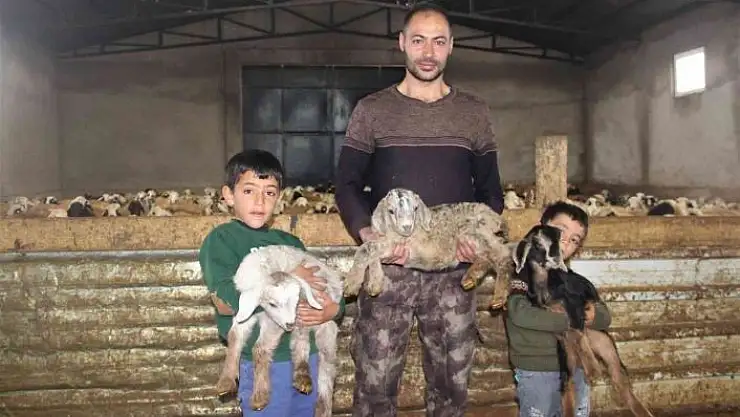 'Üçüz yavrulayan keçi aileyi sevince boğdu'