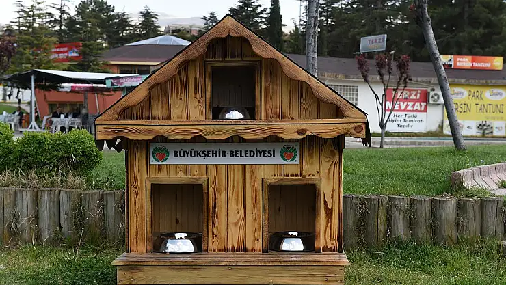 SOKAK KEDİLERİNE BARINAK