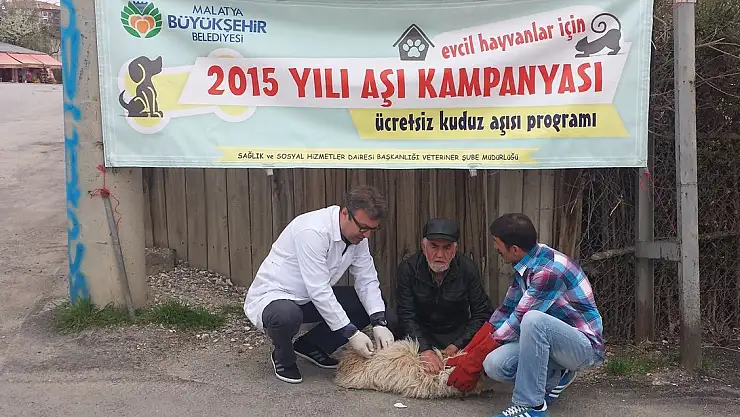 EVCİL HAYVANLARA AŞI KAMPANYASI DÜZENLENDİ