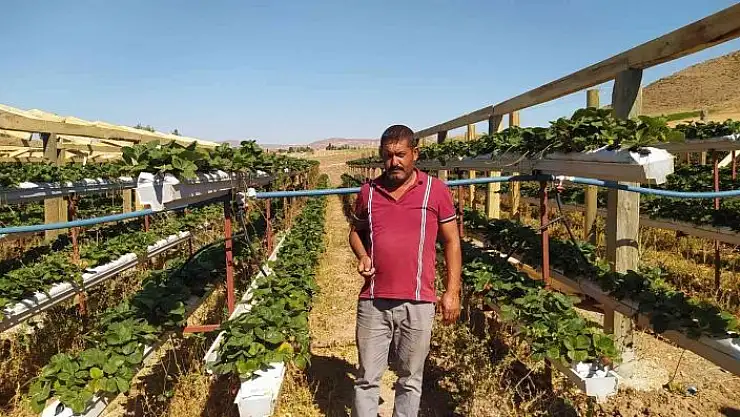 'Üretime kat attı, bir dikti üç aldı'