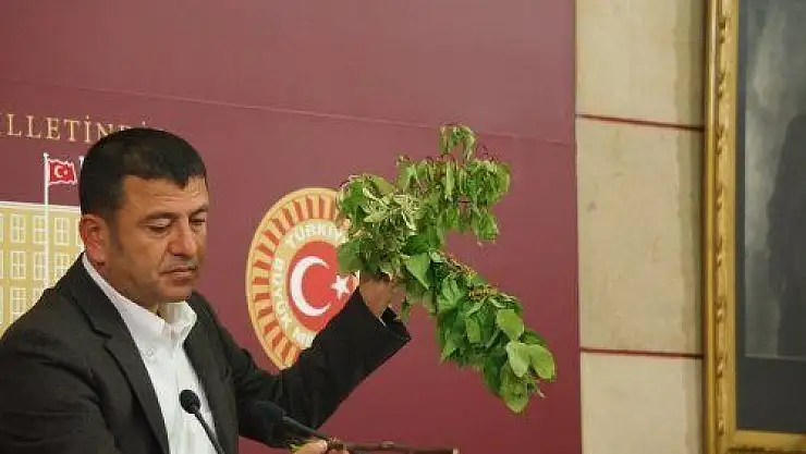 'AĞBABA, KAYISIDAKİ ZARAR BİR AN ÖNCE İNCELENSİN'''''