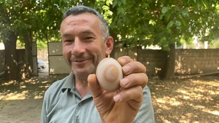 'Üzerindeki hilal simgesiyle görenleri şaşırtıyor'