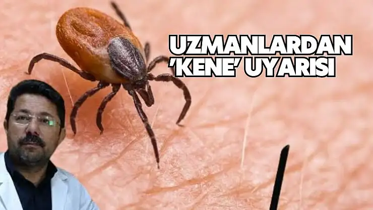 Uzmanlardan kene uyarısı