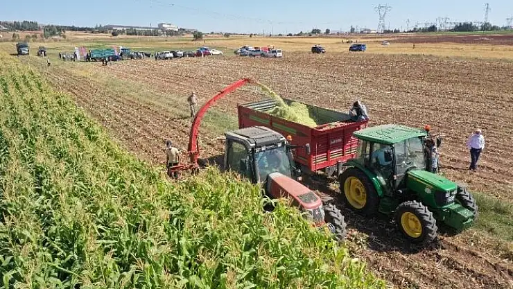 'Vali direksiyon başına geçti, hasat yaptı'