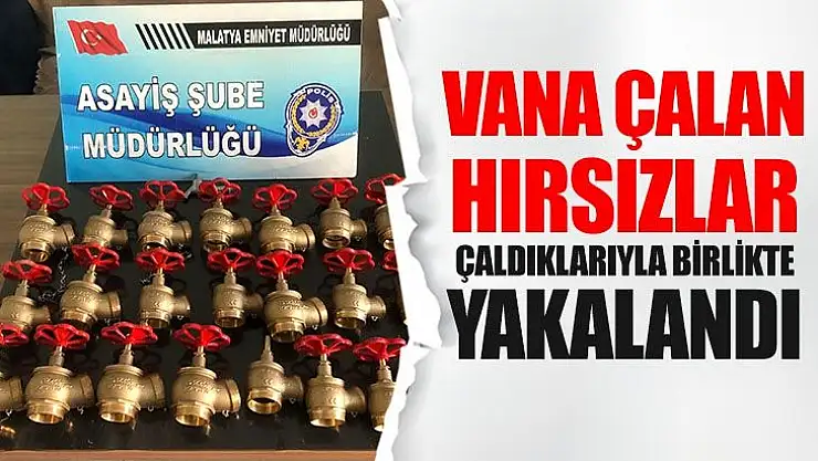Vana çalan hırsızlar, çaldıklarıyla birlikte yakalandı