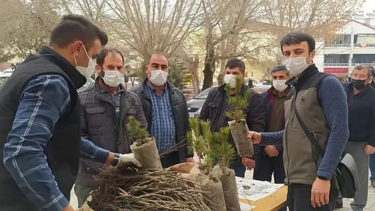 'Vatandaşlara 650 adet fidan dağıtıldı'
