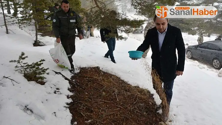 Yaban hayatı için seferber oldular