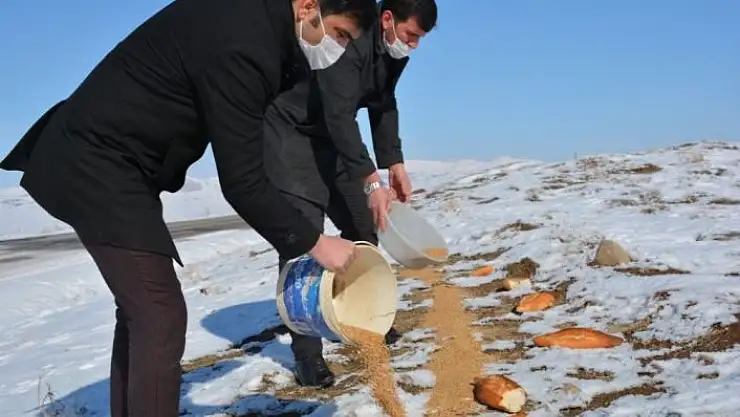 'Yaban hayatını unutmadılar, doğaya yem bıraktılar'